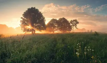 Жизнь для Воскресшего