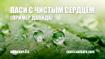 Паси с чистым сердцем (пример Давида)