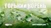 Горький корень